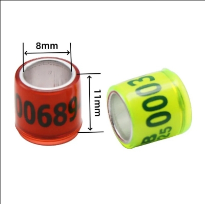 Picture of 2025 Multicolor Racer Pigeon Foot Ring 8mm With Word Earrings Quality Durable Bird Ring Pigeon Racing Rings Bird Training Tool 50 Pcs