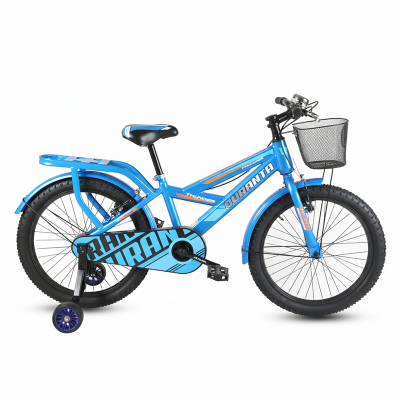 Picture of Duranta Steel 1 Speed Thunder 20 inch Blue Bicycle