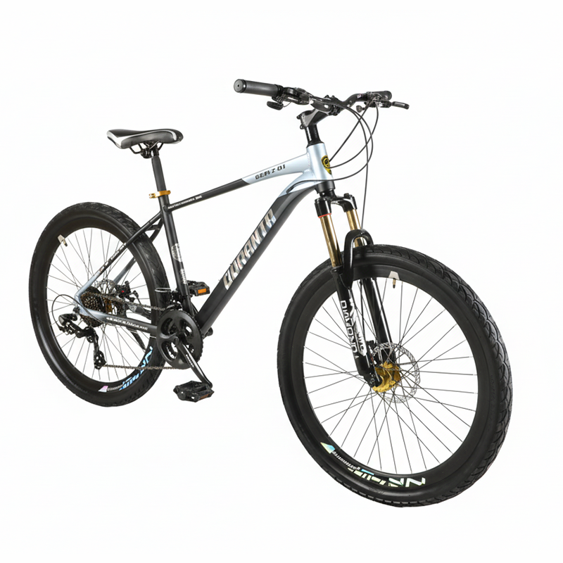 Picture of Duranta Alloy 21 speed GenZ 01 26 inch Silver Bicycle