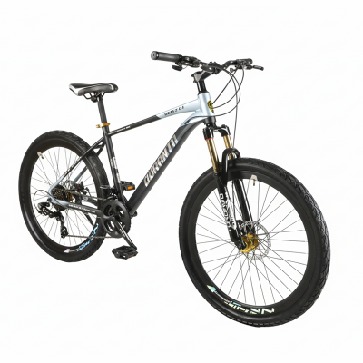 Picture of Duranta Alloy 21 speed GenZ 01 26 inch Silver Bicycle