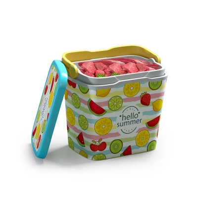 Picture of Thermal Ice Box 25 L Assorted 