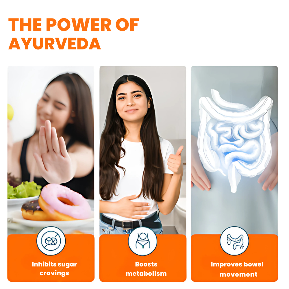 Picture of Himalaya Ayurslim Capsules 60 count