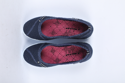 Picture of Women Ballet Flats Blue