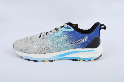 Picture of Men's Sports Shoe CKD