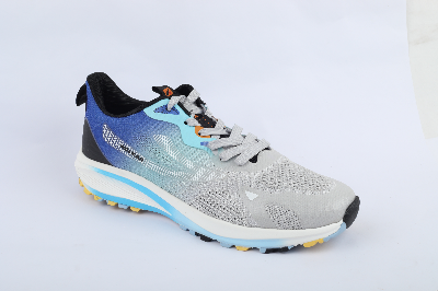 Picture of Men's Sports Shoe CKD