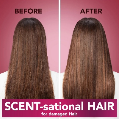 Picture of International France Product Herbal Essences Love me Longer For Damage hair Shampoo Used For male /female -400 Ml