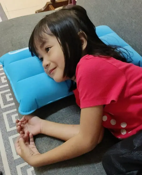 Picture of Understated -Craftsmanship and Trendy -Desert fox portable inflatable air pillow- Progressively Better Qualityful - Easy To care and Longive