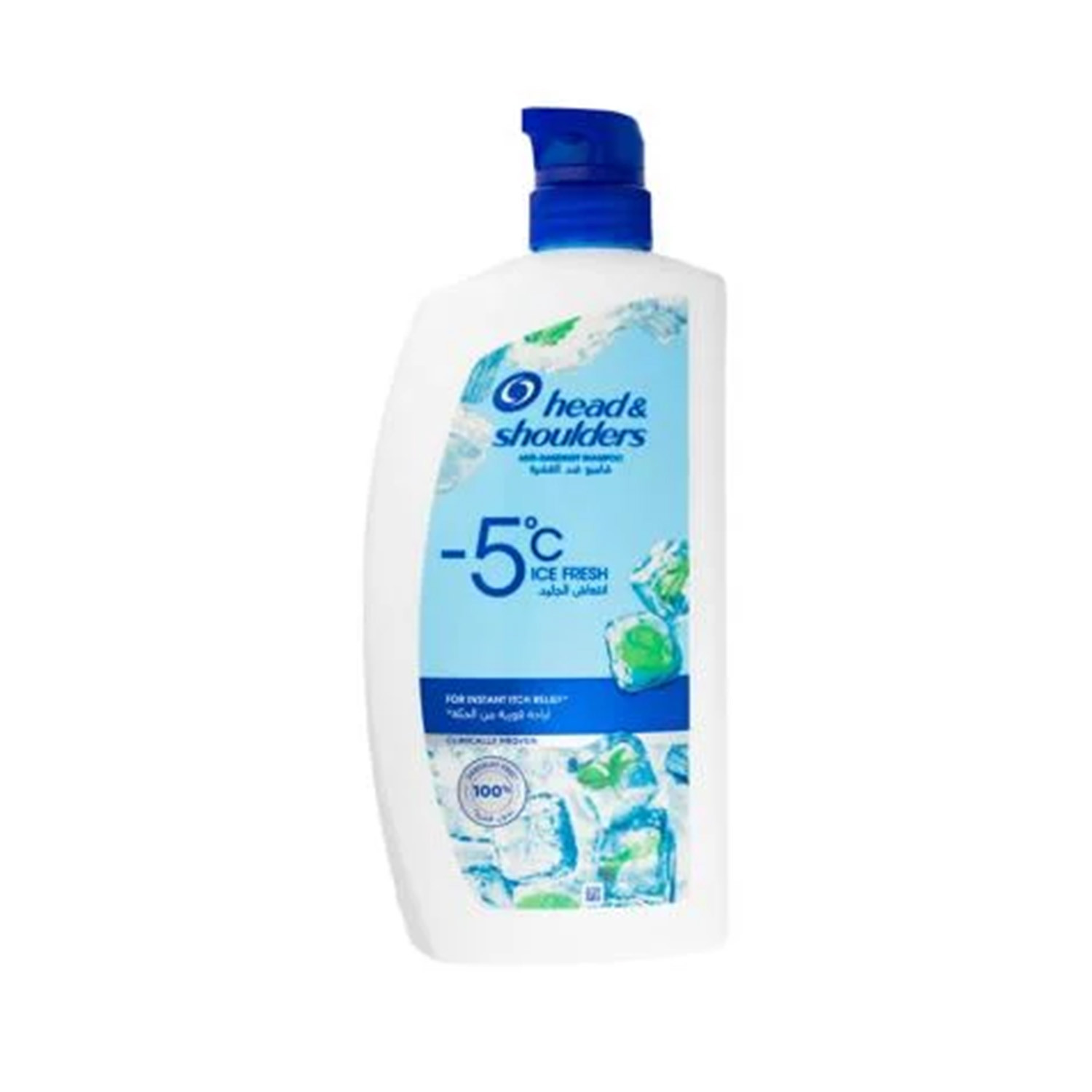 Picture of Head & Shoulders -5c Ice Fresh Anti-Dandruff Shampoo 1000ml