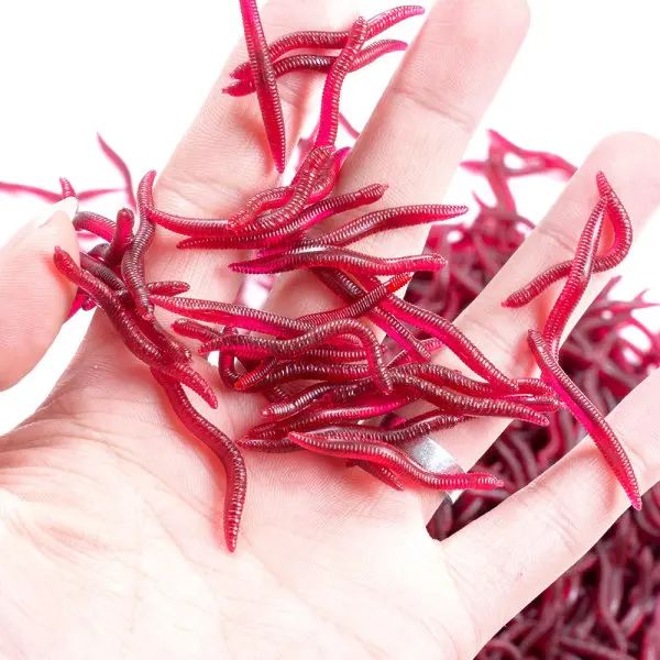 Picture of 50 piece Lifelike Fishy Smell Red Soft Lures Simulation Earthworm Red Worms Artificial Fishing Lures 50 pc per bag