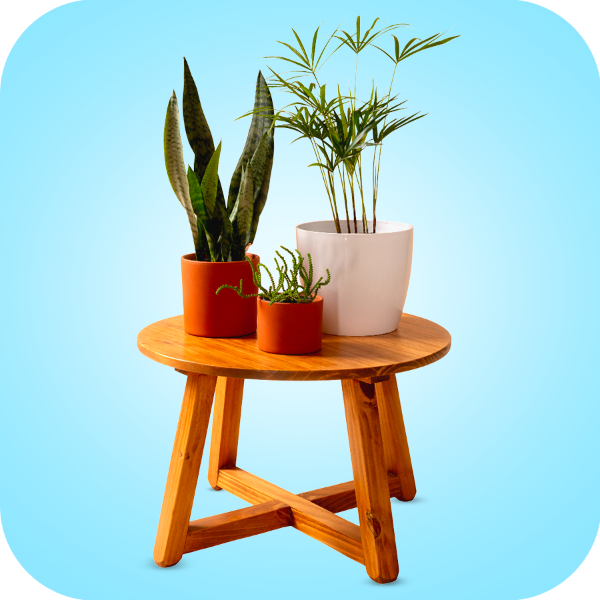 Picture for category Home Decor