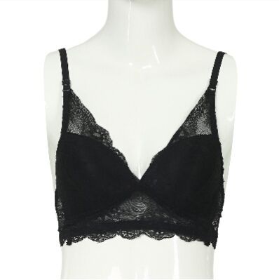 Picture of Black Color Cotton Foam Bra with Wireless For Women