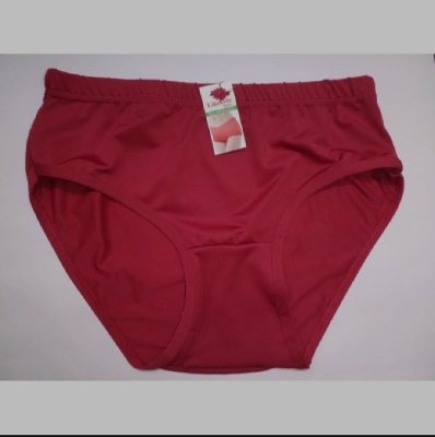 Picture of Stylish panty soft panty for Women