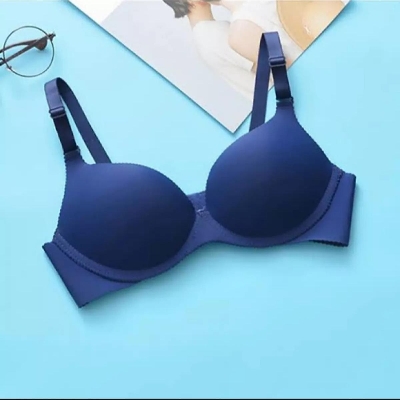 Picture of Trendsetter -Upscale Living -Exclusive And Fashionable Blue Comfortable Net Best Foam Bra For Women - Bra- Inventive Choice