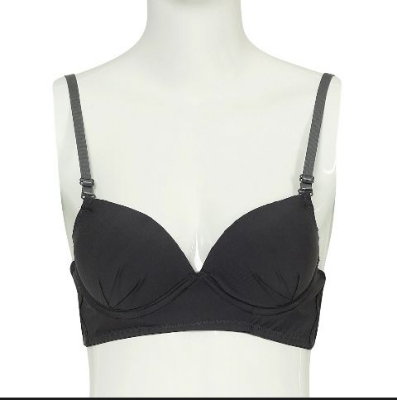 Picture of Ash Color Cotton Foam Bra with Wire For Women