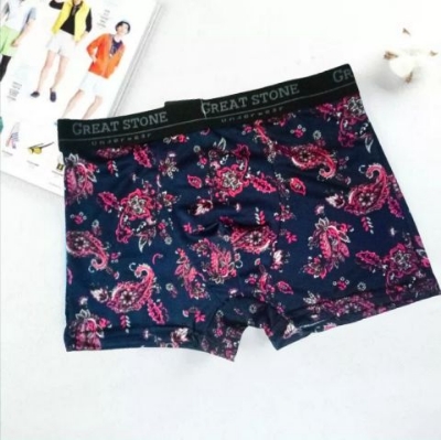 Picture of New China Stylist Men's Boxer Briefs Underwear - Random Design