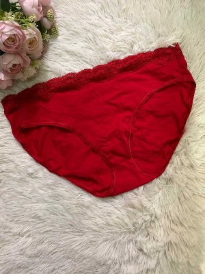 Picture of Luxe Lace Temptation Panty – Soft, Sultry & Stylish