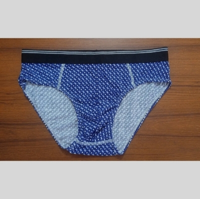 Picture of Man Underwear 100% cotton Brief