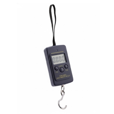 Picture of Portable Electronic Scale 50kg