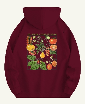 Picture of Exclusive Cotton Fabeic Hoodie For Men & Women  HL-D65