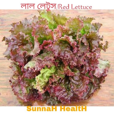 Picture of Red Lettuce Seed 20 Pcs