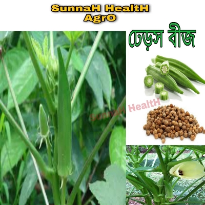 Picture of ঢেড়স বীজ Ladies Finger Seeds_Vendi_15 pcs হাইব্রিড
