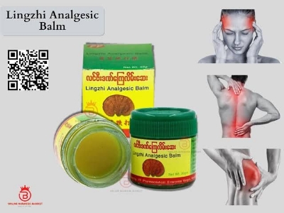 Picture of Lingzhi Analgesic Balm 1pcs