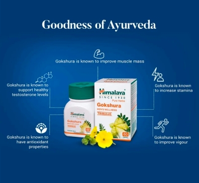 Picture of Gokshura Men’s Wellness 60 Tab