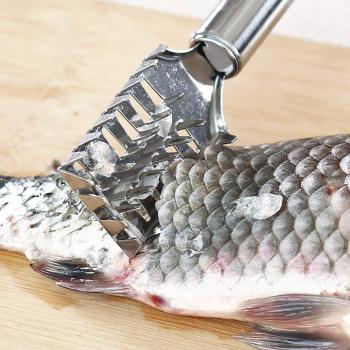 Picture of Fish Scaler Scraper Kitchen Tool, Stainless Steel (china) - Silver