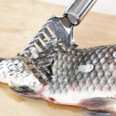 Picture of Fish Scaler Scraper Kitchen Tool, Stainless Steel (china) - Silver