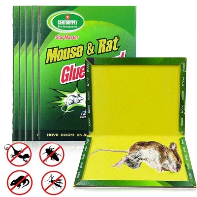 Picture of Mouse Board Sticky Mice Glue Trap High Effective Rodent Rat Snake Bugs Catcher Pest Control Reject Non-toxic 1 PCS