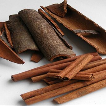 Picture of Daruchini -100gm