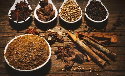 Picture of Chittagong Famous Mejbani Beef Masala 250 gm - Mejbani Beef Masala