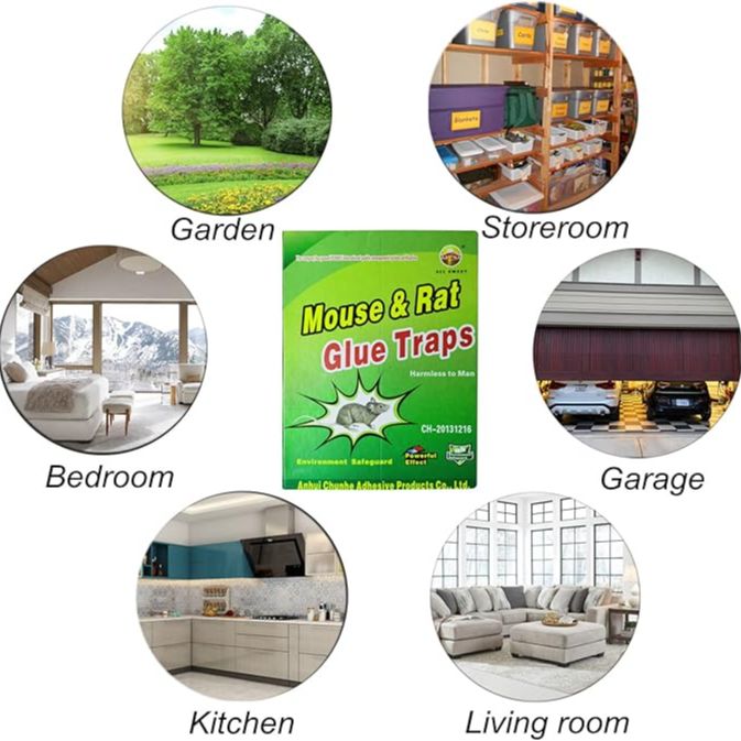 Picture of China rat eighteen traps mouse and rat eighteen traps-1 pice - Great to Have