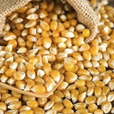 Picture of Popcorn (Bhutta)-1 Kg