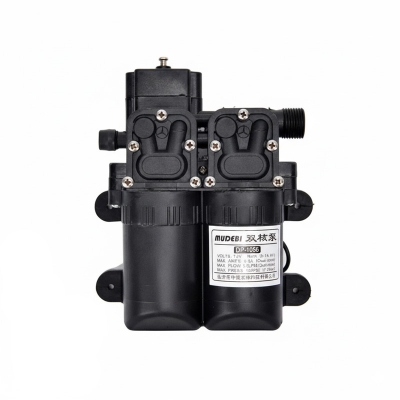 Picture of High-power 12V dual-core power pump Agricultural electric sprayer motor modified double-pump high-pressure drug-washing car