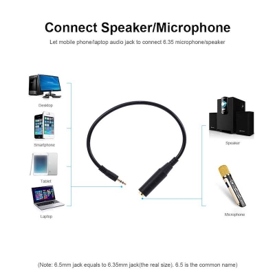 Picture of 3.5mm Male to 6.35mm Female Converter Cable for Microphone/Headphone