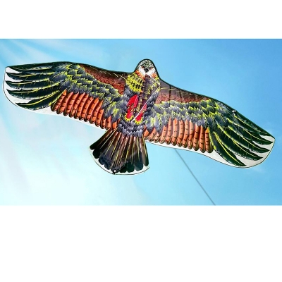 Picture of 1.1m Large Eagle Kite for Kids & Family – Includes 30m Flying Line – Outdoor Garden Fun Toy