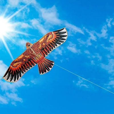 Picture of Flat Eagle Kite 1.1m Flying Bird Kite With 30 Meter Kite Line Large Kite Kids Gift Family Trips Garden Outdoor Sports DIY Toy