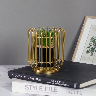 Picture of Metal Cage With Ceramic Vase