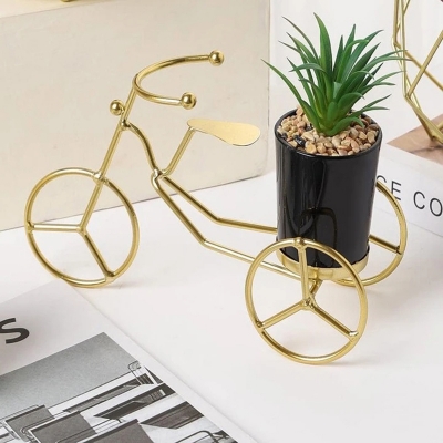 Picture of Creative Bike Design Planter For Home Tricycle with Plant Pot