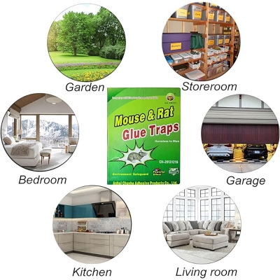 Picture of China rat eighteen traps mouse and rat eighteen traps-1 pice - Great to Have