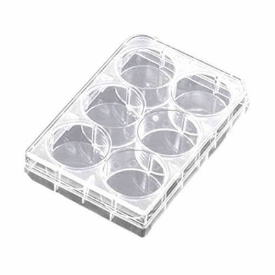 Picture of Cell Culture Plate 6 Well Plastic Plate