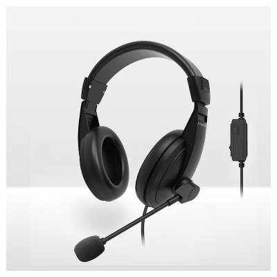 Picture of Rapoo H150S USB Stereo Headphone - High-quality stereo sound output - High-resolution 40mm Speaker - Microphone noise reduction &adjustable rotation - Volume Control with mute button - Featherweight design with memory foam earpads