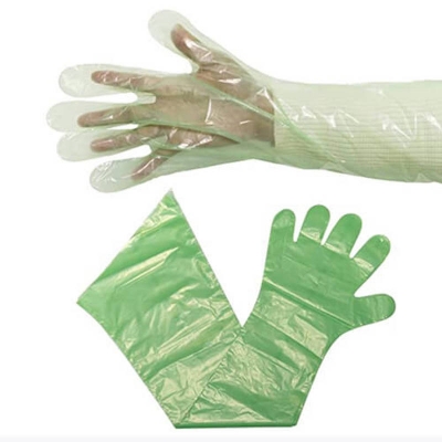 Picture of 35 Inch Long Veterinary Gloves 100 Pcs Per Box