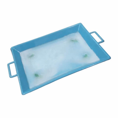 Picture of Plastic Tray with Wax for Biology Lab Use