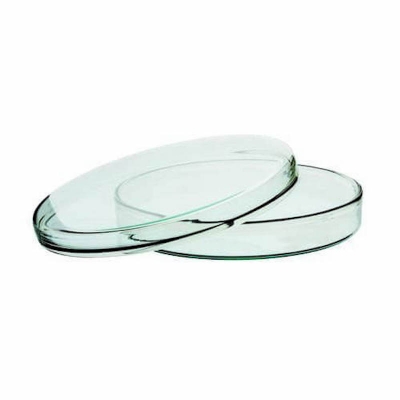 Picture of Glass Petri Dishes 90mm for Biology Lab