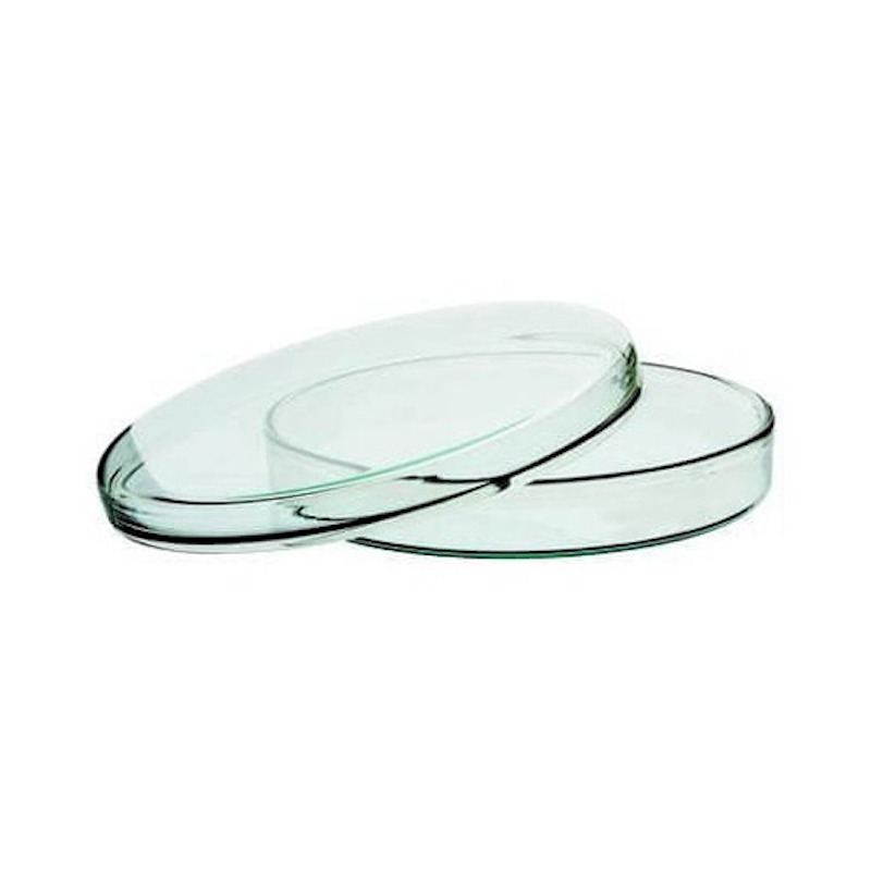 Picture of Glass Petri Dish 80 mm for Lab Use