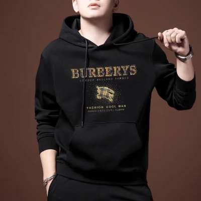 Picture of Premium Quality Winter Hoodie For Men's