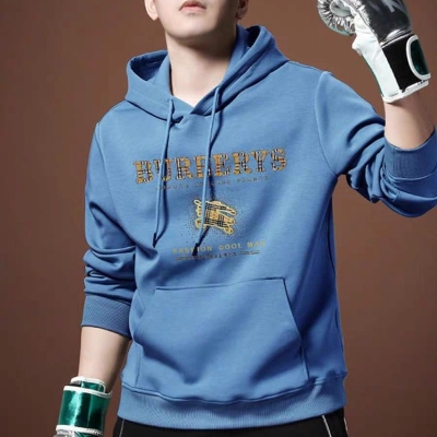 Picture of Premium Quality Winter Hoodie For Men's