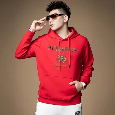 Picture of Premium Quality Winter Hoodie For Men's